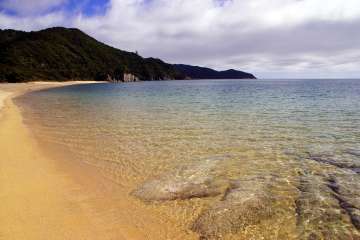 Abel Tasman Cruise-Fly Package ex Nelson