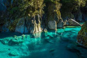 Blue Pools & Makarora Day Walk