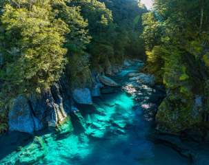 Blue Pools & Makarora Day Walk Group of 3