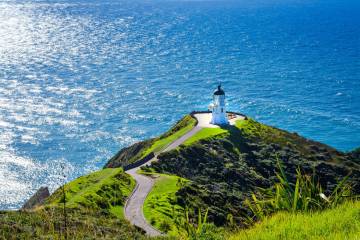 Cape Reinga & 90 Mile Beach Tour