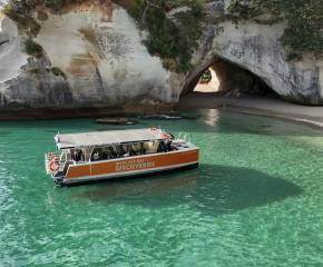 Cathedral Cove Coast and Cave Tour