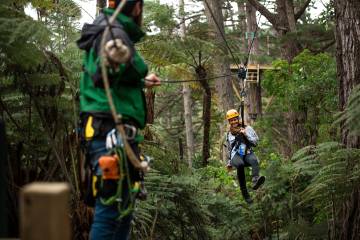 Adventurous 8-Zipline Canopy Tour