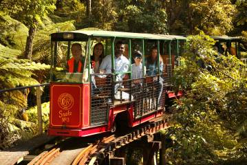Driving Creek Railway