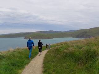 Godley Head walking tour- Start/finish Christchurch