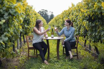 Half-Day Wine Tour From Blenheim