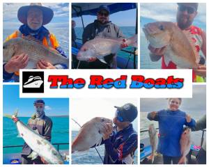 Individual Full Day Fishing on Auckland Harbour