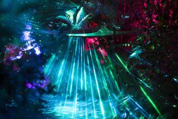 Mārama: Geyser Light Trail