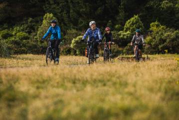 Remutaka Rail Trail Mountain Bike Explorer Day Trip