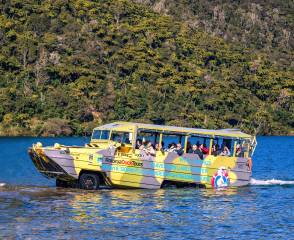 Rotorua City & Lakes Tour (90-105mins)