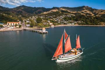 Sailing with Dolphins in Akaroa