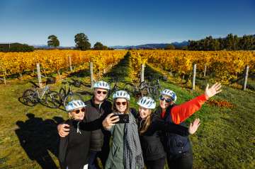 Self-Guided Biking Wine Tour
