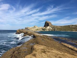 Wine, Food and Wairarapa Coast Overnight Tour
