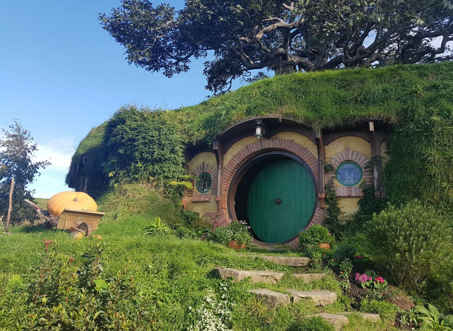 Visit Hobbiton Movie set