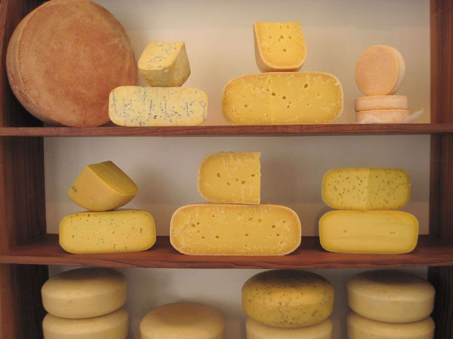 Cheese Factory Visit