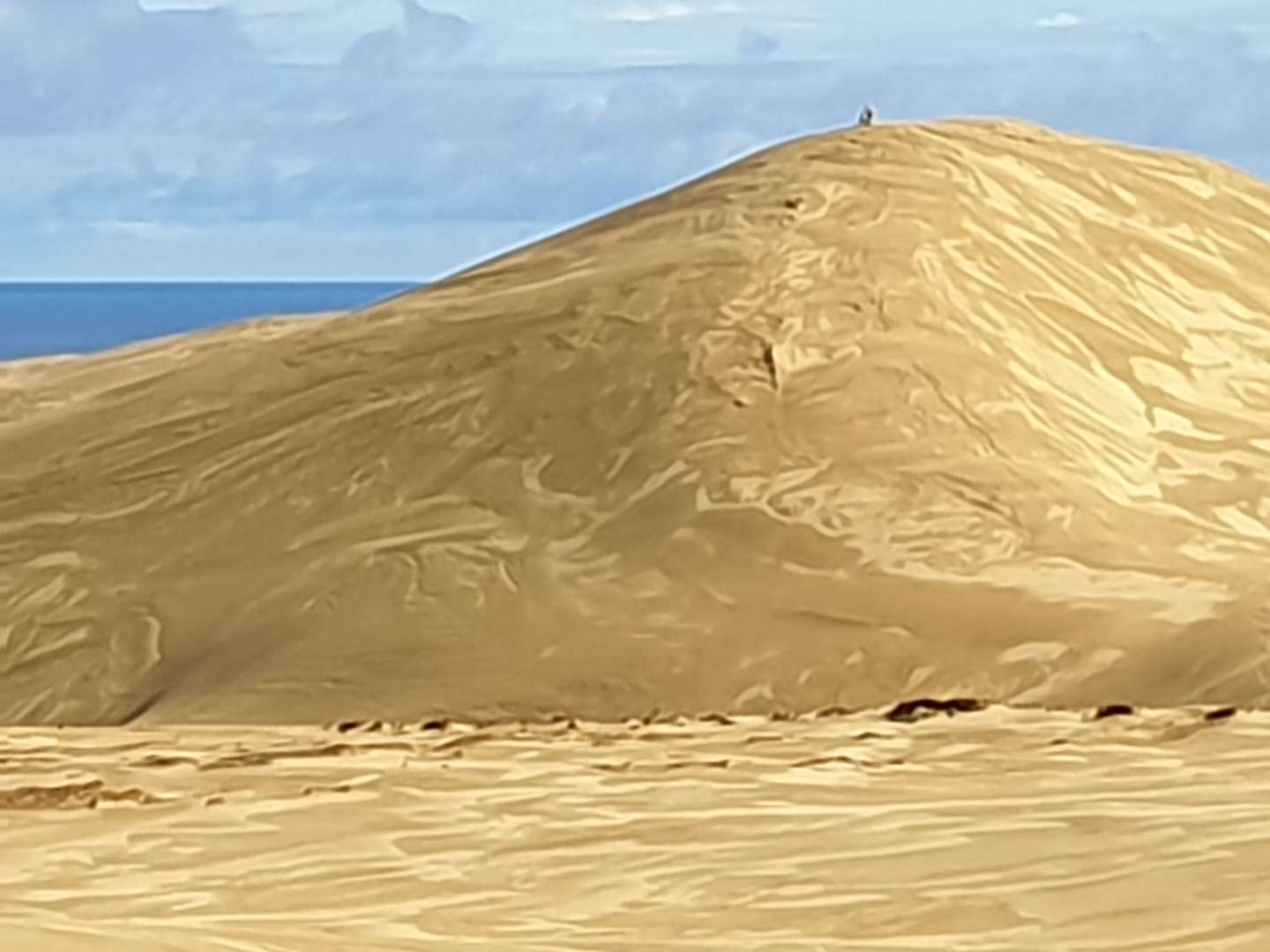 Te Paki Sand Dunes