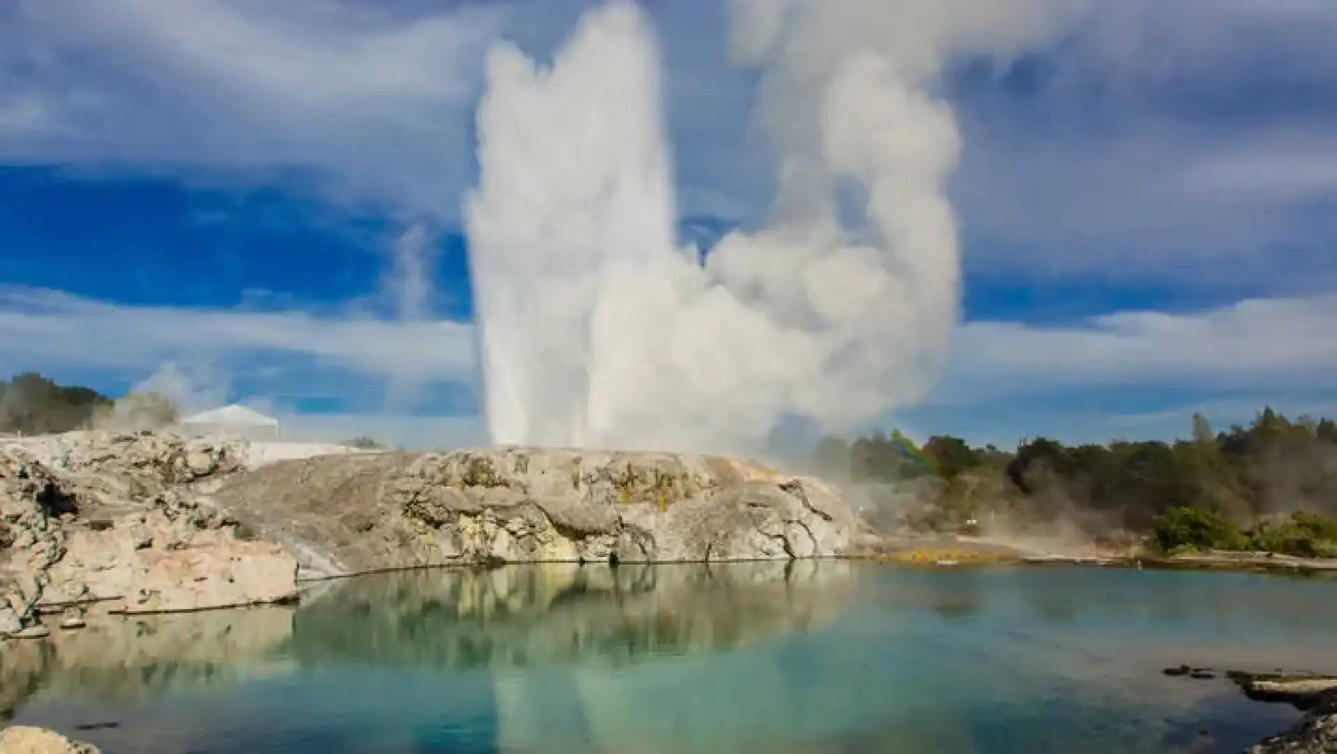 Pohutu Geyser  Rotorua