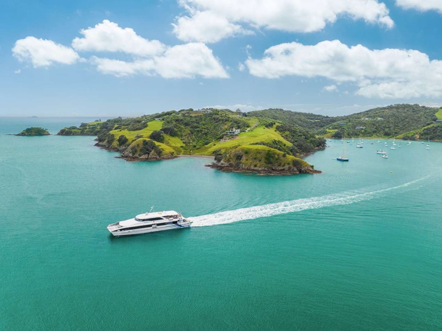 Ferry heading back to Auckland