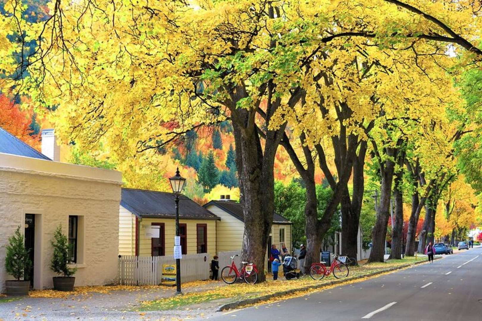 Stunning Arrowtown countryside view