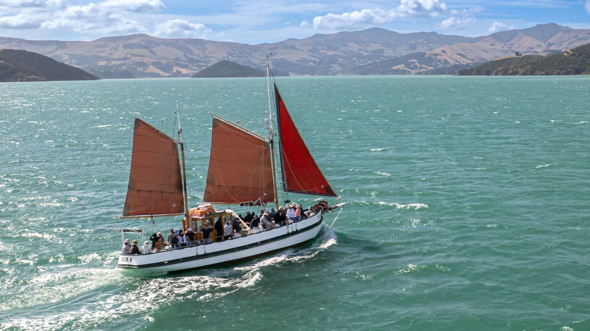 Get a chance to spot fur seals