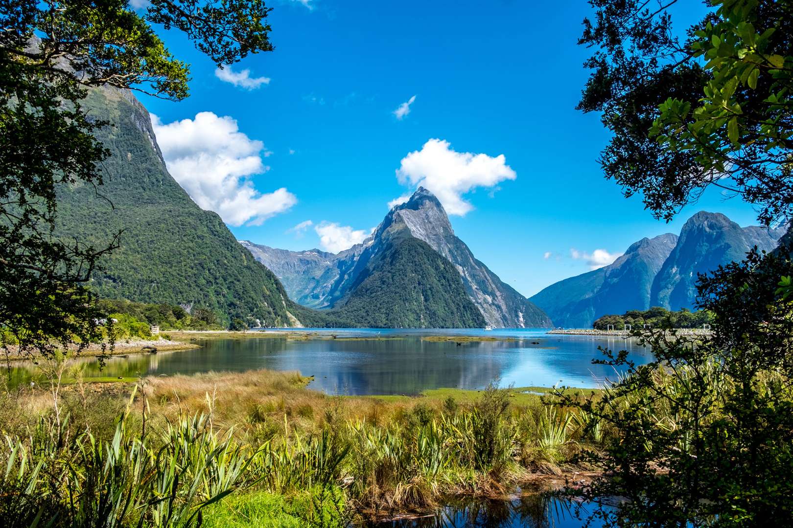 Milford Sound Luxury Private tour