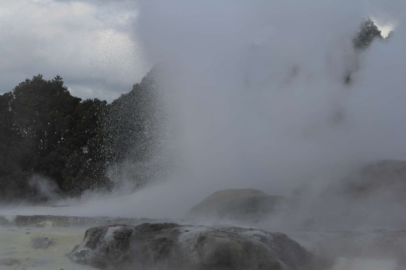 Private Auckland Day Tour to Rotorua Pohutu Geyser in Rotorua