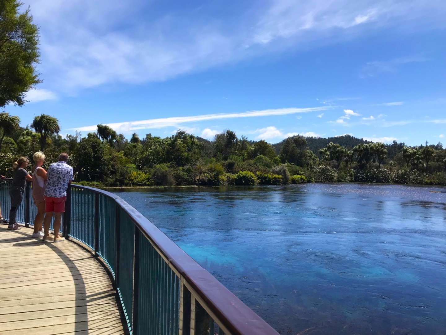 Te Waikoropupū Springs