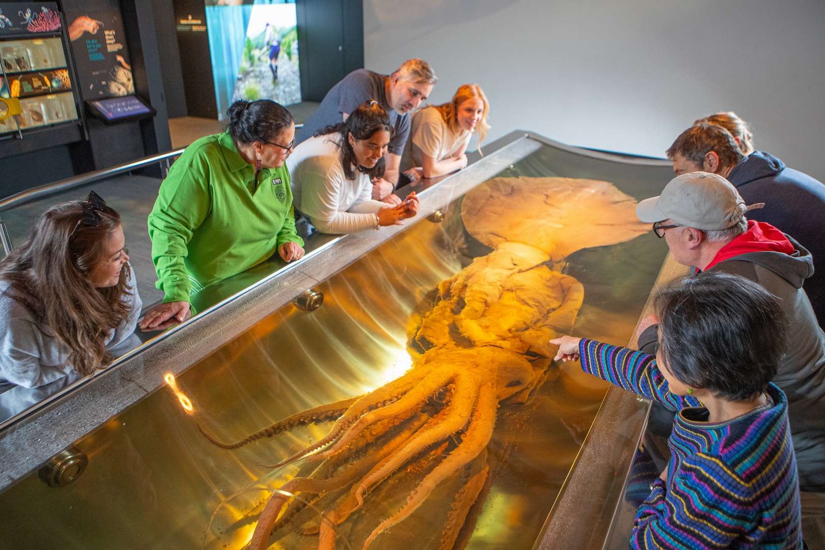 TePapa display 2025 Tour