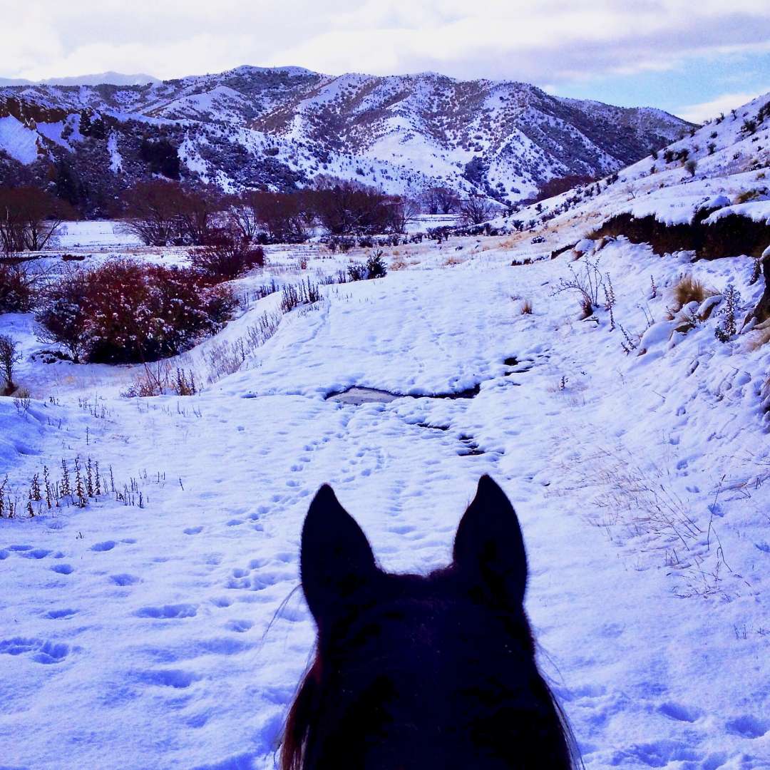 The High Country Pub Trail riding in the snow Horse Trek