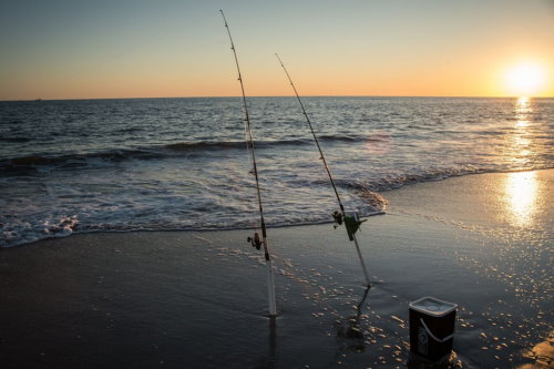 Fishing